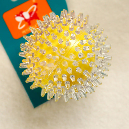 Long Lasting Spiky Chew Ball