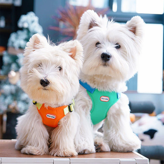 Macaron-Colored Hands-Free Harness