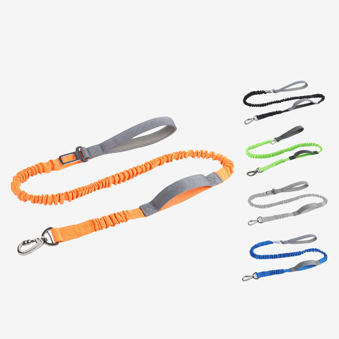 Elastic Durable Dog Leash