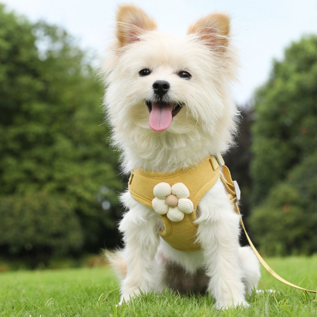 Cute 3D Flower Breathable Dog Harness