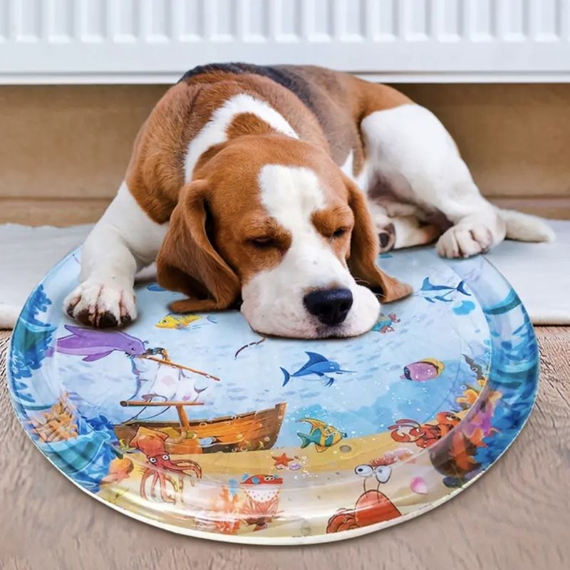 Pet Water-filled Cooling Bed