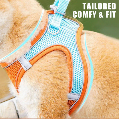 One-Piece Breathable Harness and Leash Set