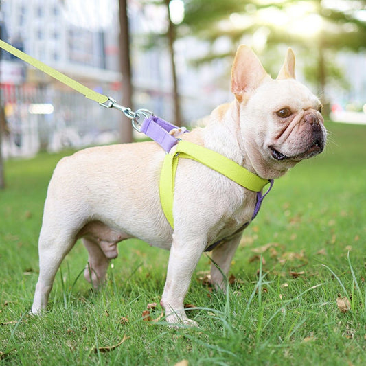 Y-Shaped Adjustable Color Harness