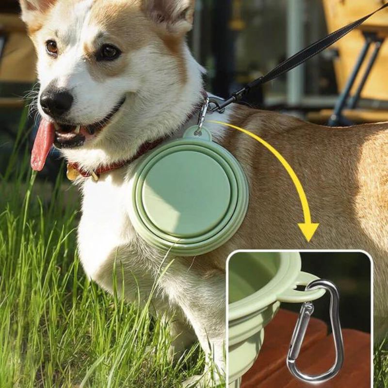 Collapsible Dog Travel Bowl