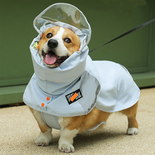 Snug Raincoat for Small to Medium Dog