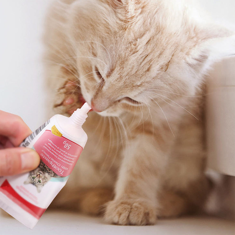 Pet Tooth Brushing Kit