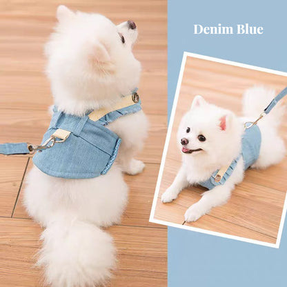 Summer Breathable Dog Outdoor Vest Leash