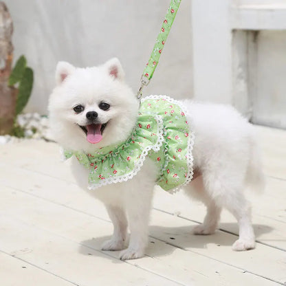 Summer Floral Lace Pet Leashable Clothing