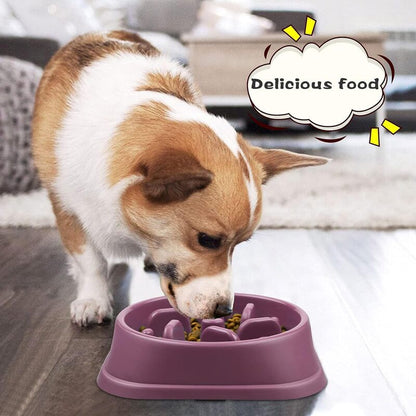 Colorful Slow Feeder Pet Bowl