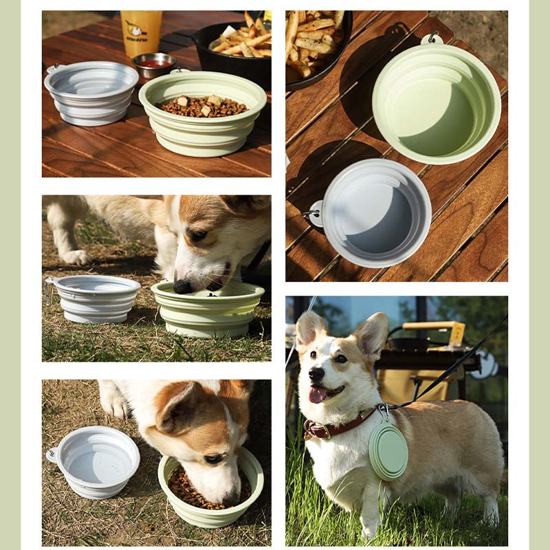 Collapsible Dog Travel Bowl