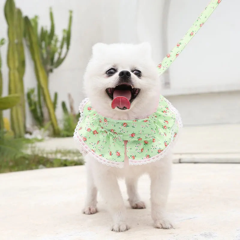 Summer Floral Lace Pet Leashable Clothing