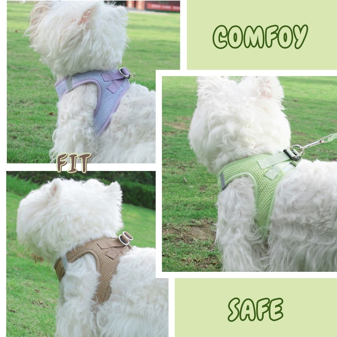 Waffle Fabric Puppy Harness and Leash Set