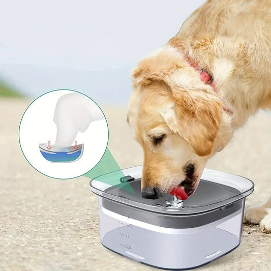 Spill-Proof Transparent Water Bowl