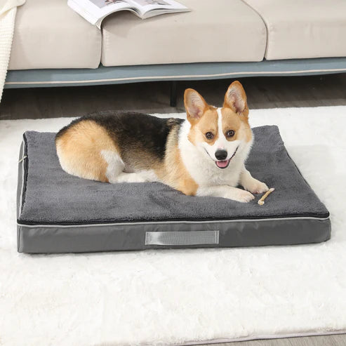 Memory Foam  Orthopedic Dog Bed