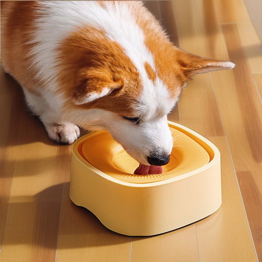 Spill-Proof Dust-Free Pet Water Bowl
