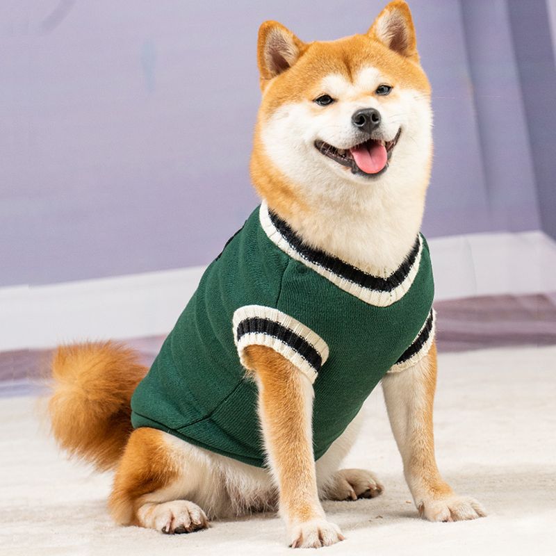 College V-neck Fashion Vest Pet Clothing