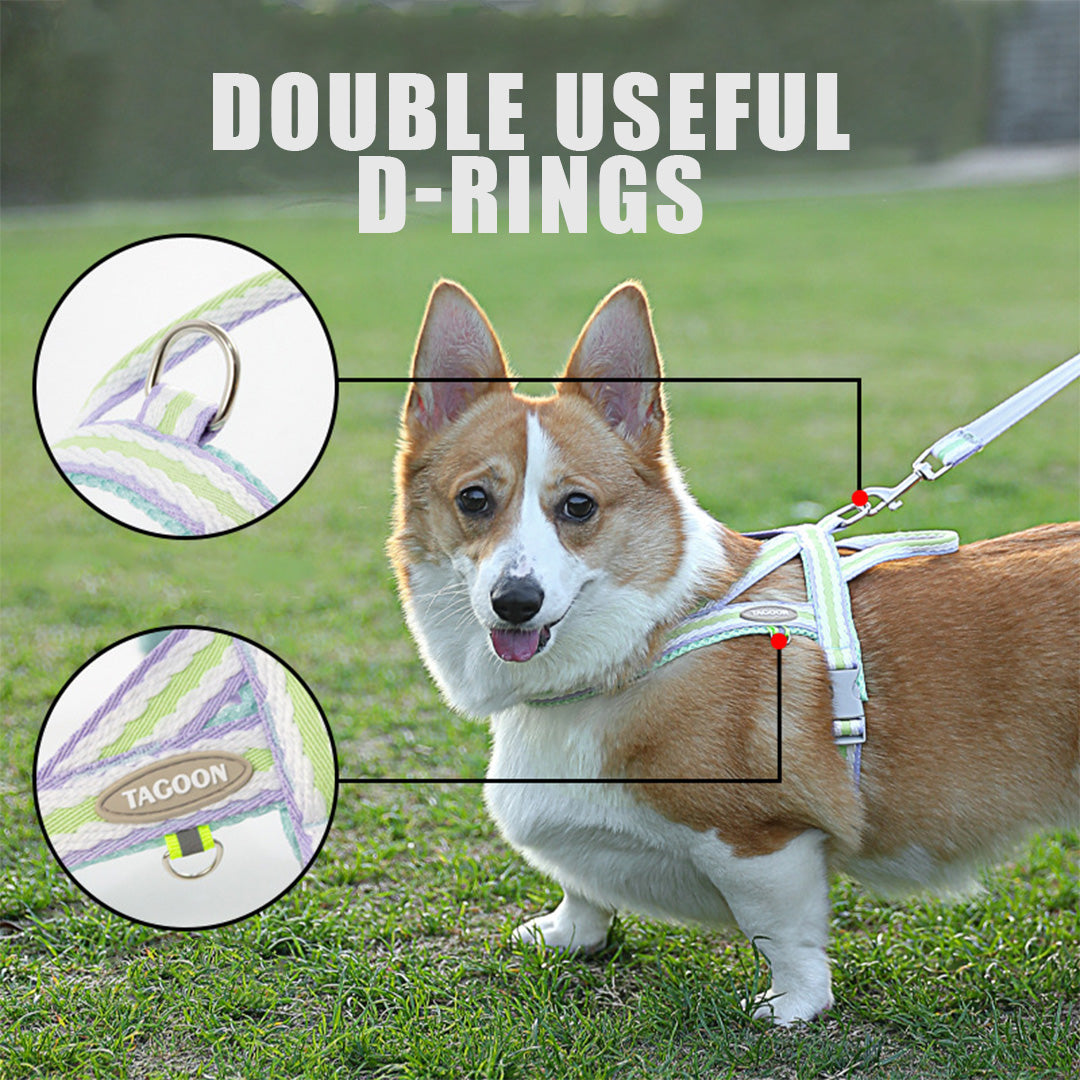 T-Shaped Cute Breathable Harness