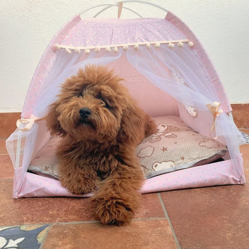 Portable Pet Tent with Breathable Cushion