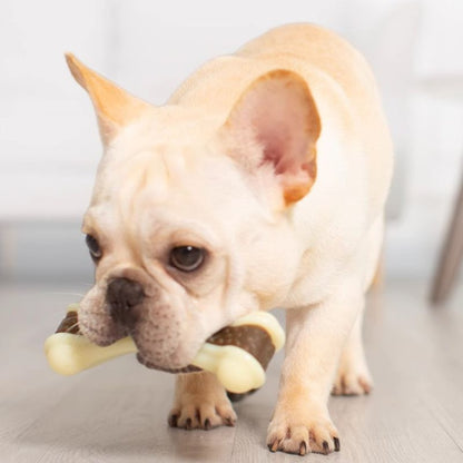 Beef Flavor Dog Teething Chew Toy