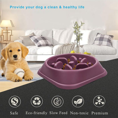 Colorful Slow Feeder Pet Bowl