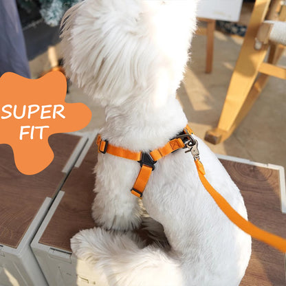 X-Shaped Vest Harness for Small Dogs