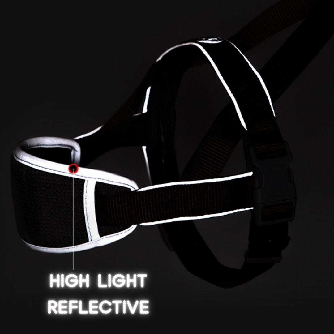 No-Pressure Adjustable Reflective Harness