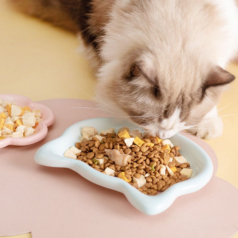 Adorable Ceramic Cat Feeding Dish