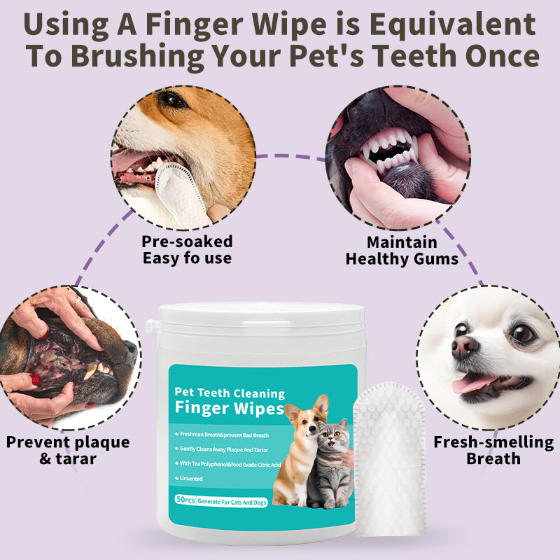 Pet Teeth Cleaning Finger Wipes