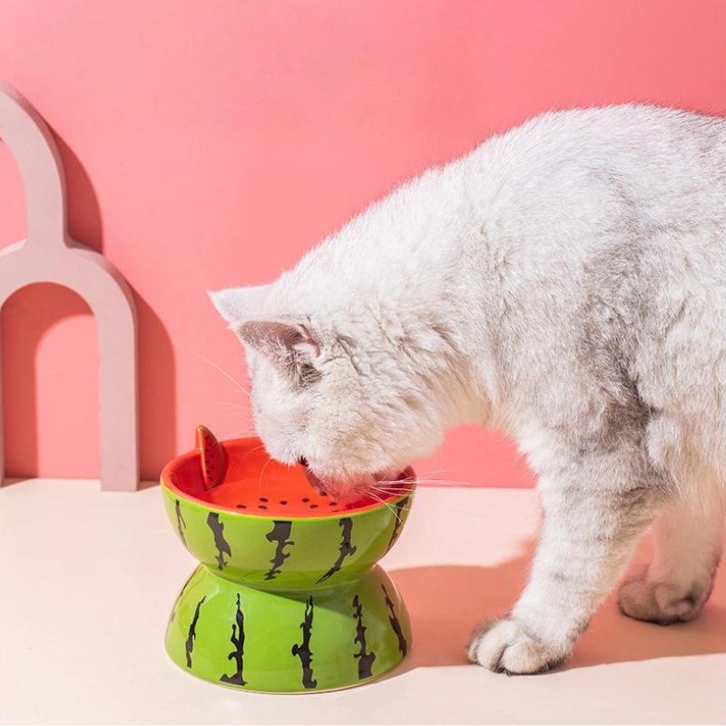 Fruit-Themed Pet Ceramic Bowl