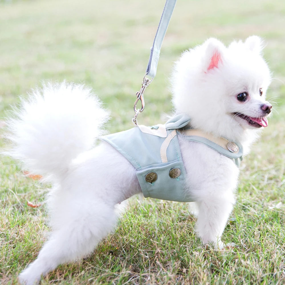 Summer Breathable Dog Outdoor Vest Leash