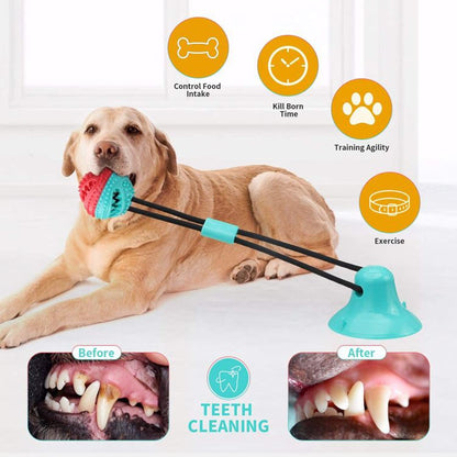 Suction Cup Dog Rope Chew Toy