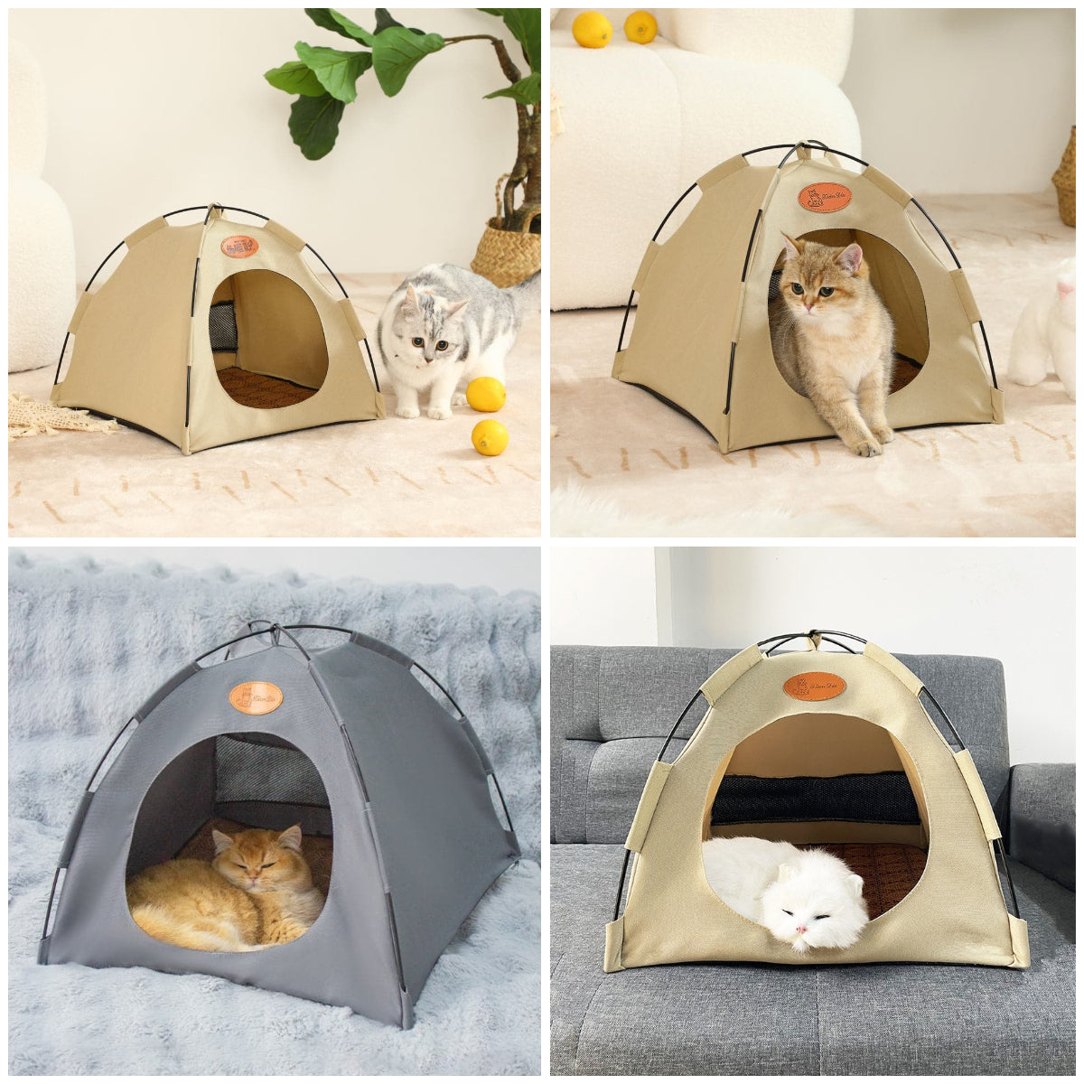 Cute Canvas Outdoor and Indoor Pet Tent