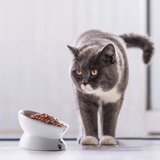 Ceramic Elevated Cat Food Bowl