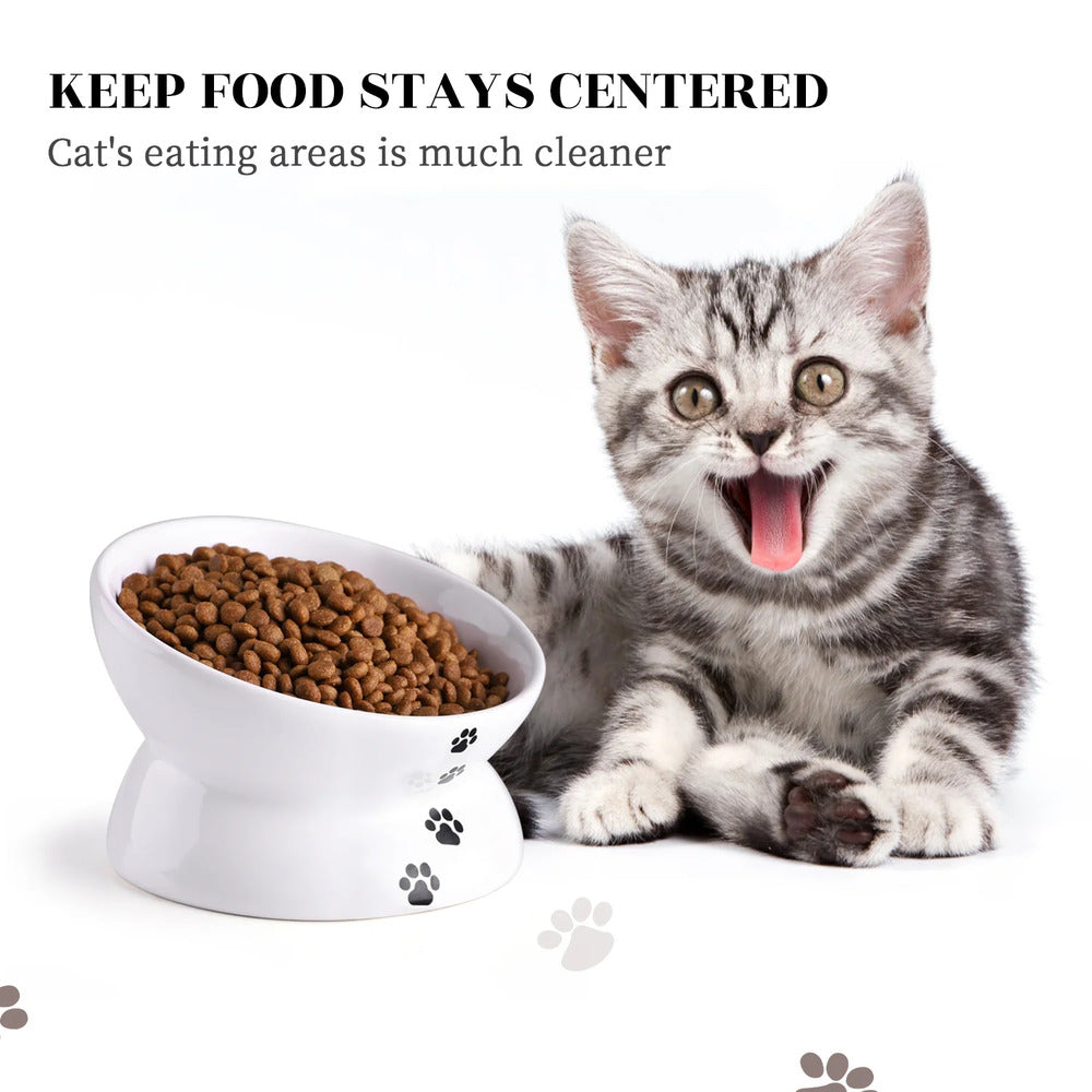 Ceramic Elevated Cat Food Bowl