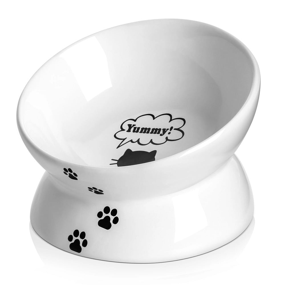 Ceramic Elevated Cat Food Bowl