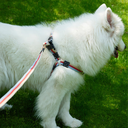 Y-Shaped Step-in Dog Harness