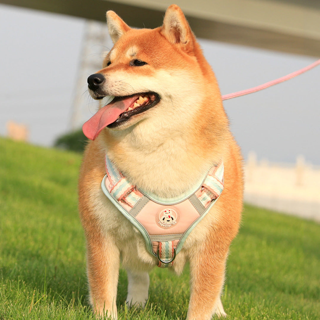 Adorable Adjustable Comfy Harness