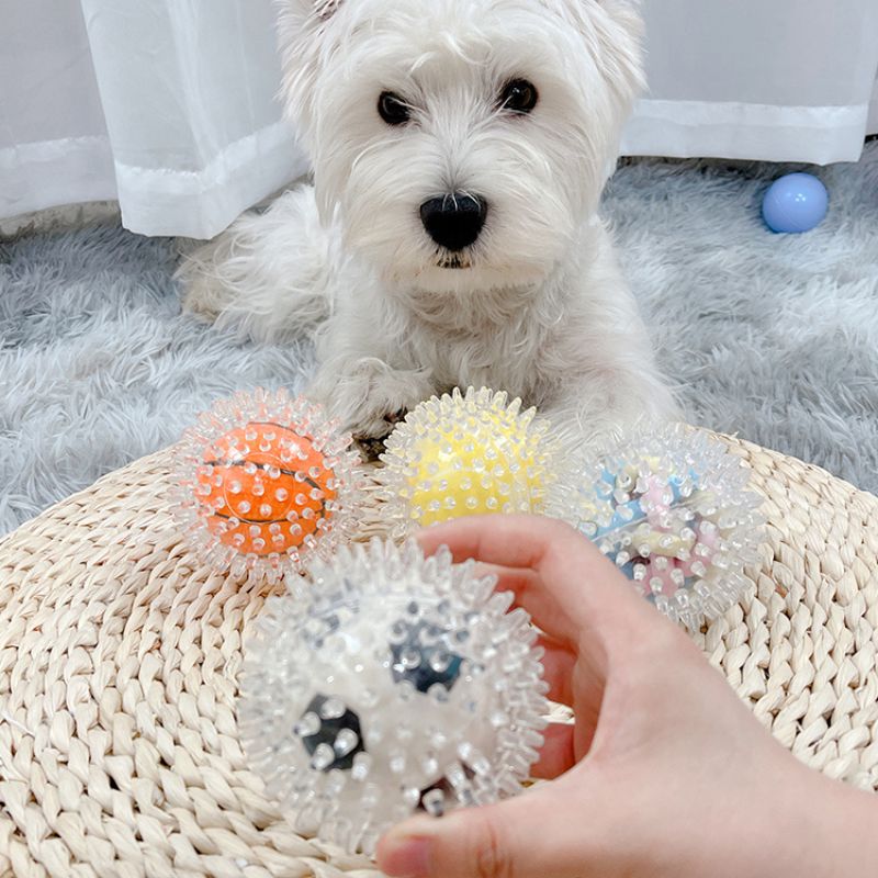 Long Lasting Spiky Chew Ball