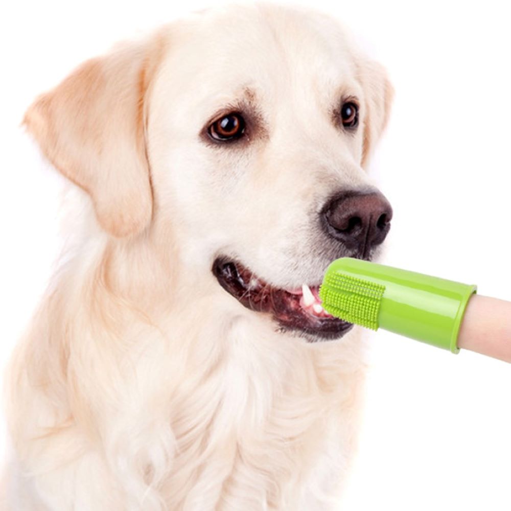 Pets Finger Toothbrush