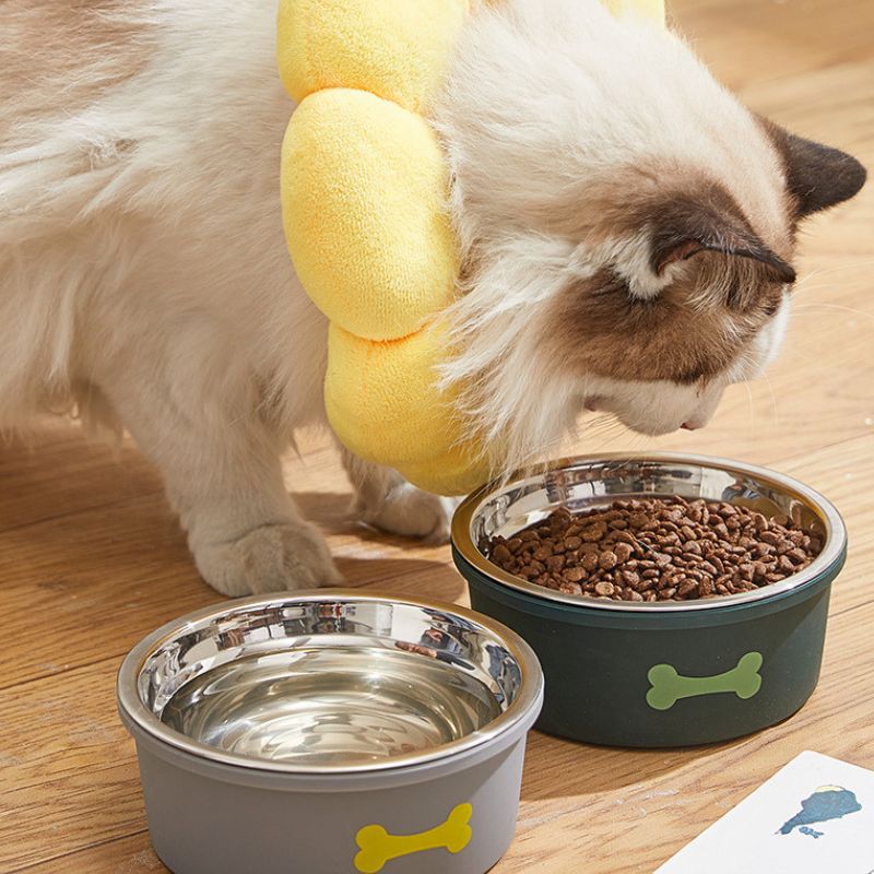 Silicone Stainless Steel Cat Double Bowl