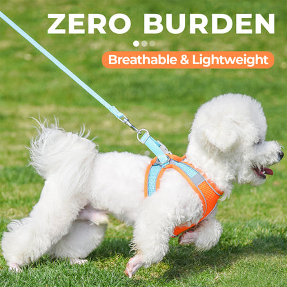 One-Piece Breathable Harness and Leash Set