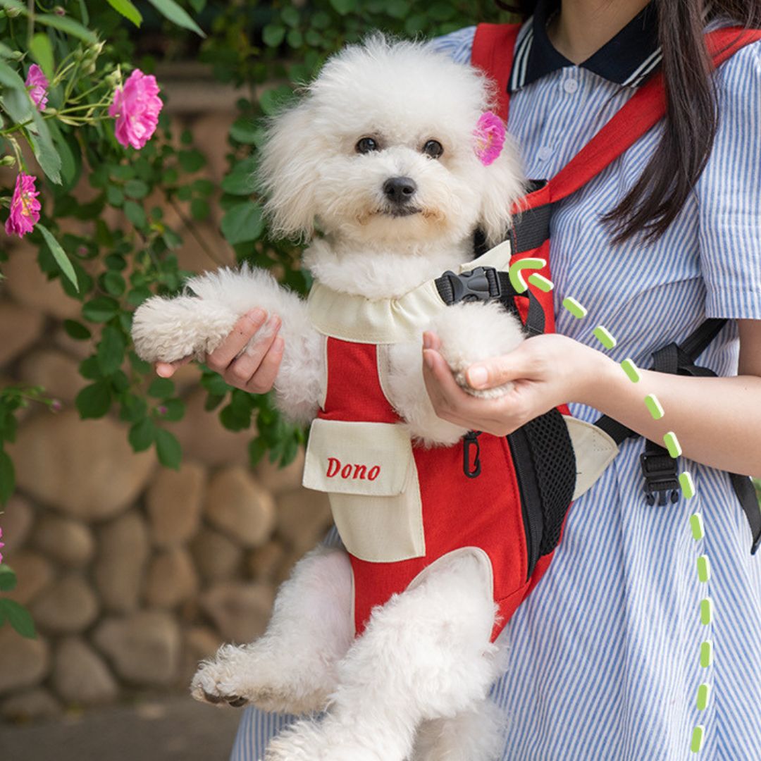 Comfy Legs Out Pet Backpack Carrier