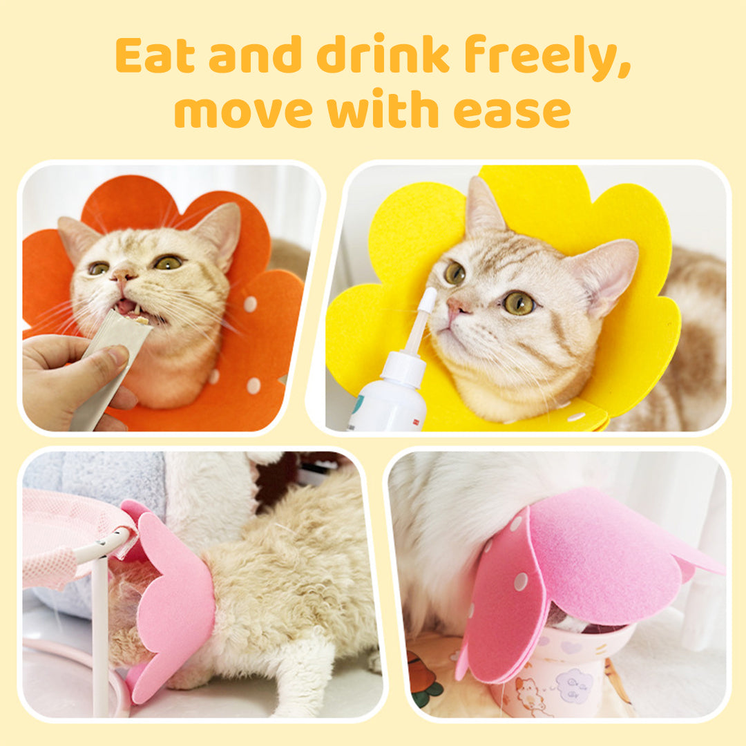 Washable Felt Pet Elizabethan Collar(2 pcs)