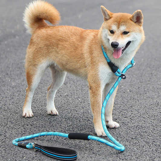 Reflective Slip Lead Leash