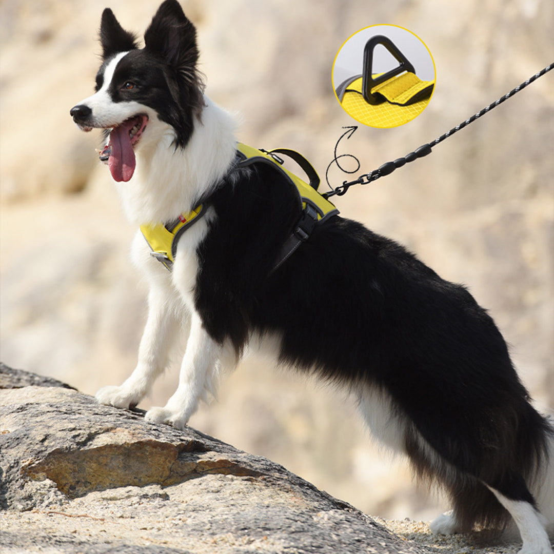 Multifunctional Travel Dog Harness