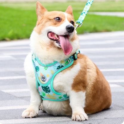 No Chock Dog Harness and Leash Set