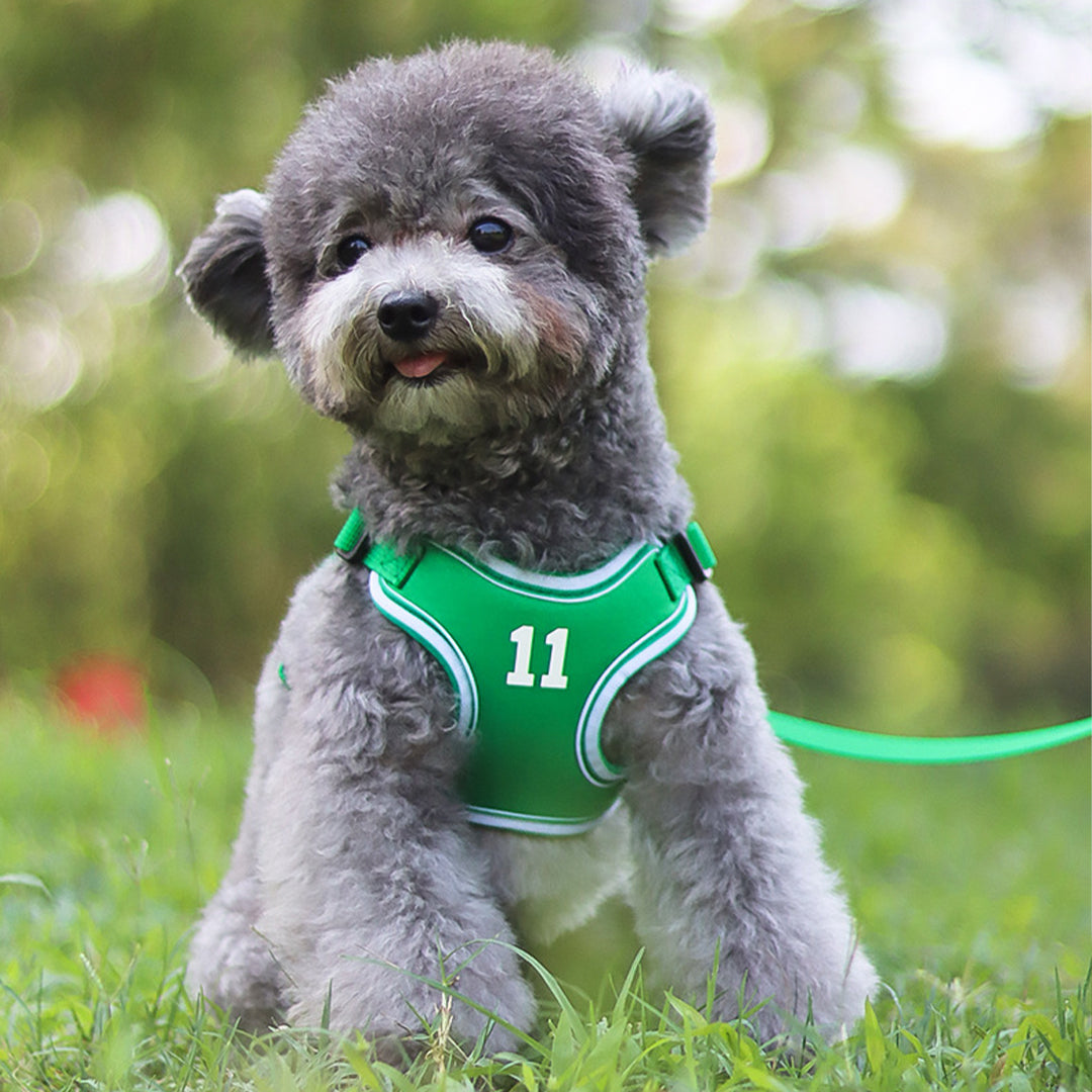 Classic Basketball Style Dog Harness