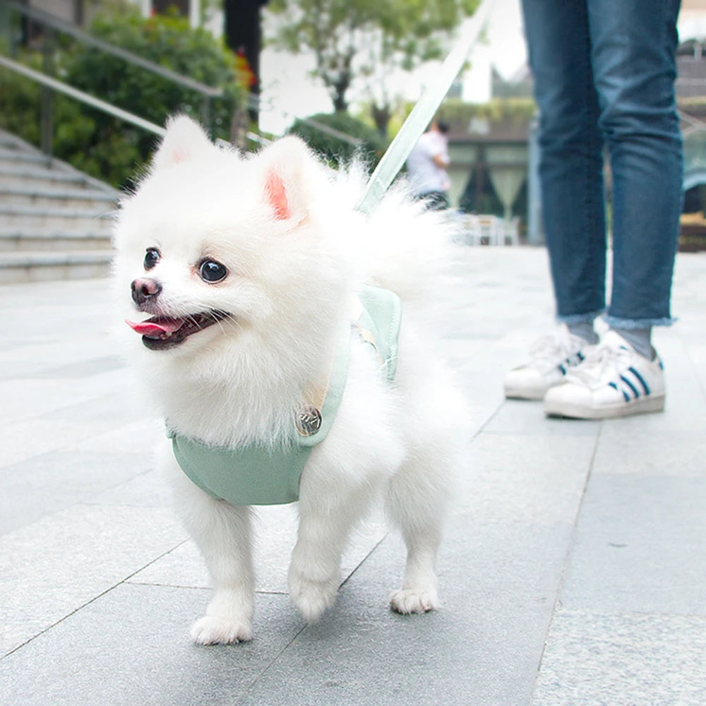 Summer Breathable Dog Outdoor Vest Leash