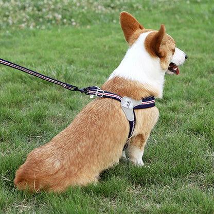 Y-Shaped Step-in Adjustable Harness