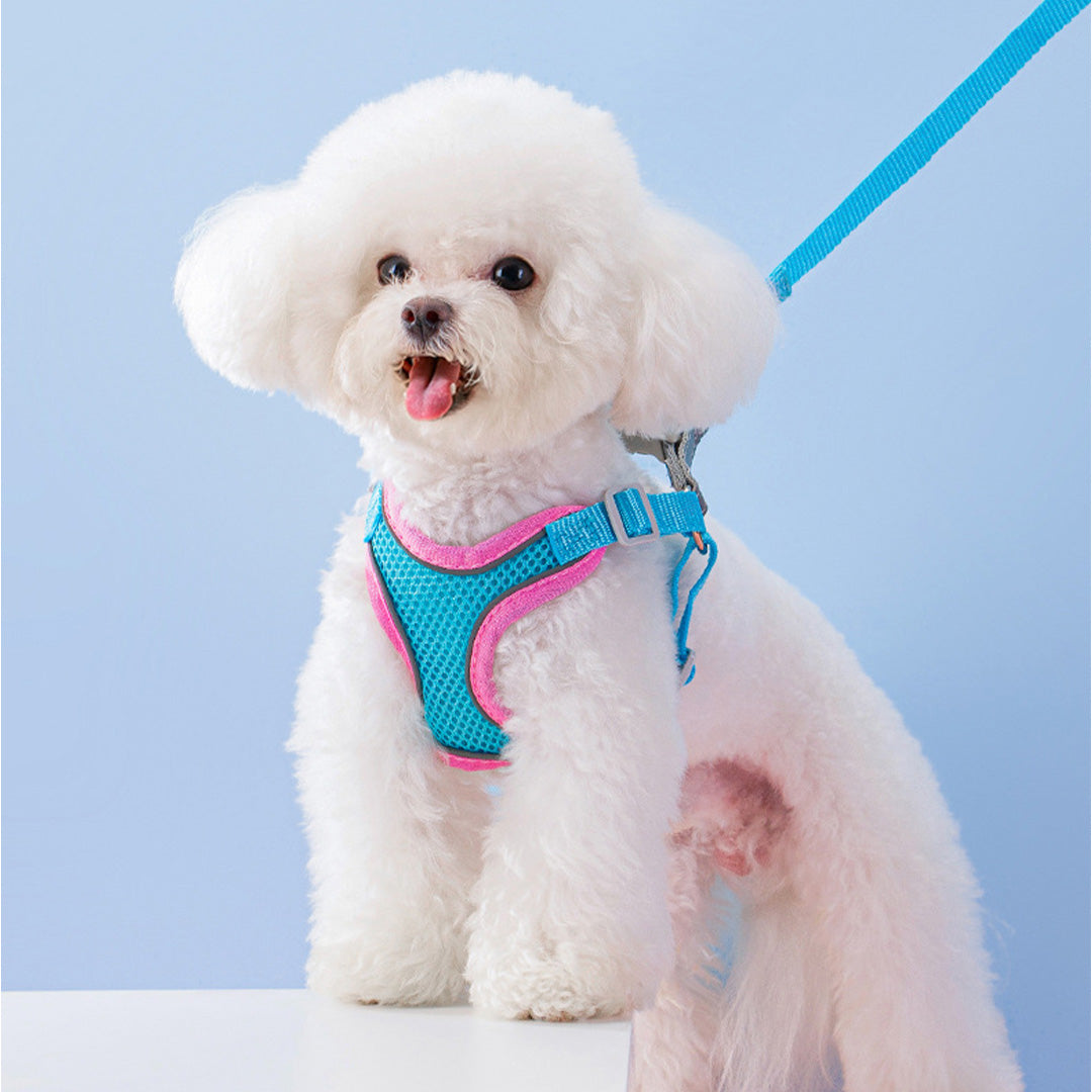 Super Breathable Harness for Small Dog